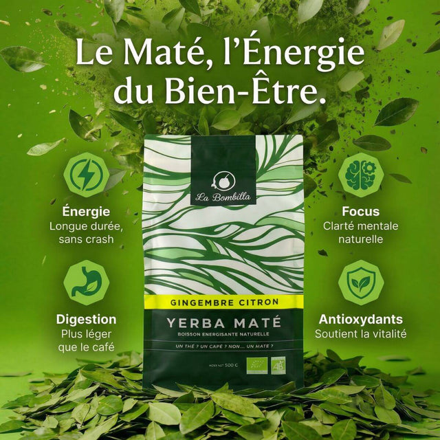 Maté Gingembre-Citron Bio