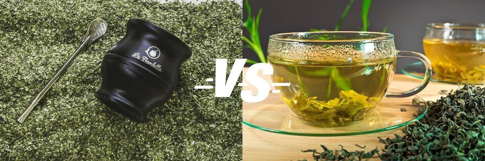 yerba maté vs thé : deux plantes qui n'ont rien à voir